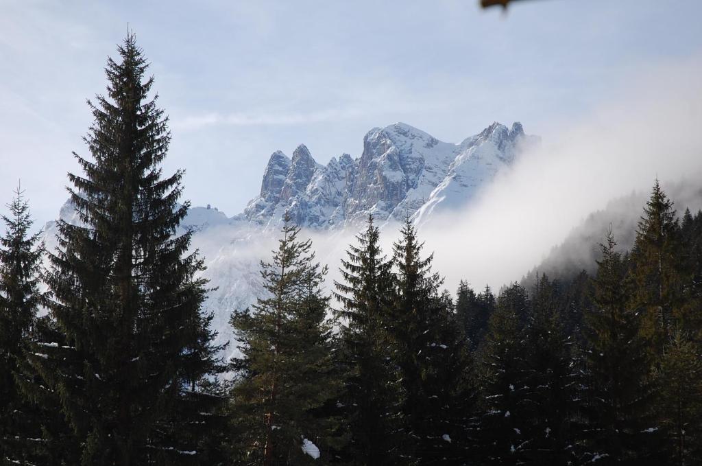 Albergo Ristorante Cacciatori Auronzo di Cadore Kültér fotó